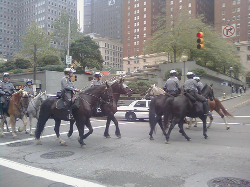 Allegheny County Mounted Police at recent Pittsburgh parade